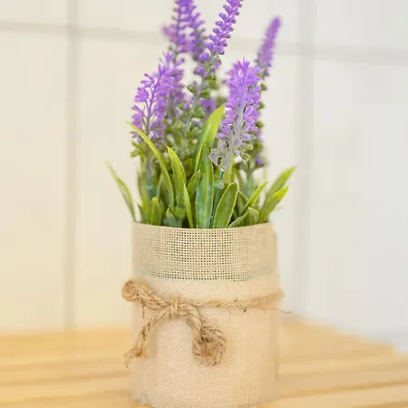 Hofgut Eveshausen Familienquartier Klassik 10-14 Gaeste 度假居 *