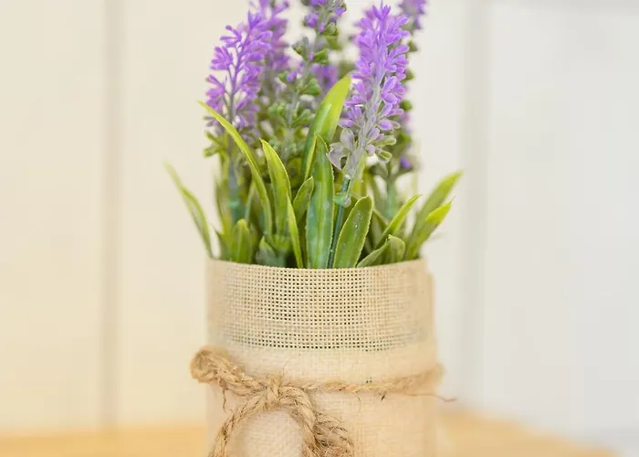 Hofgut Eveshausen Familienquartier Klassik 10-14 Gaeste Dom wakacyjny *